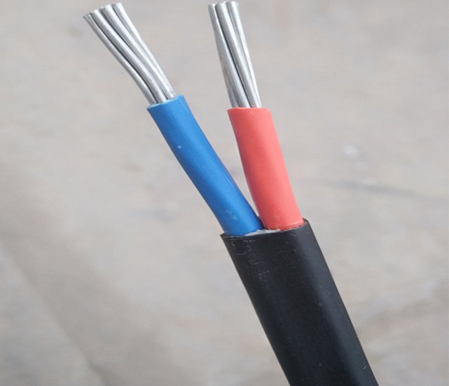 ǧ���߉���|