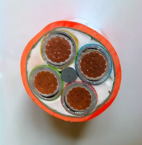 �����|�еĵV�������|