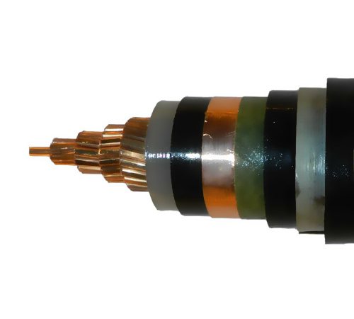 �o�u�͟���ȼ��|����ɫ