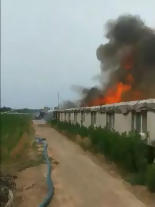 ������Ȼ�@����������ԭ����������