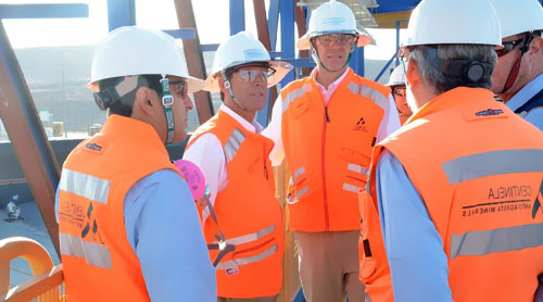 2020��ȫ���~�л���F20-30�f�������^ʣ