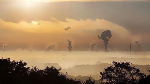 2019��������Դ�ИI������̼�ŷ�ͬ���½�2.8%